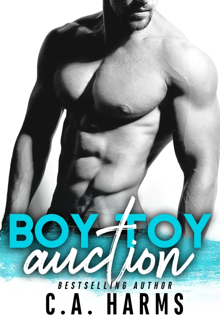 Boy Toy Auction ebook